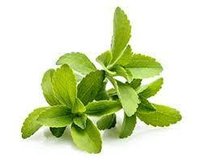 Introducing "Stavia’s™ Stevia" - and other all-natural calorie-free sugarless sugar-alternatives!