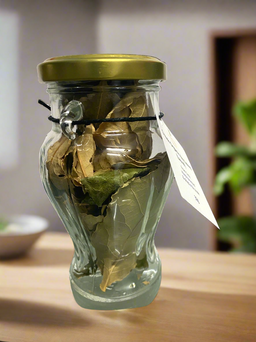 Cretan organic  bay leaves in glass amphora jar