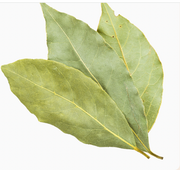 Dried Cretan Bay leaves