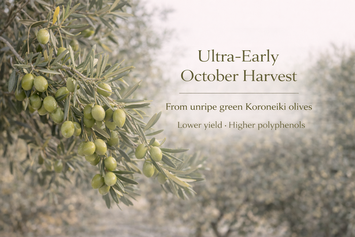 Ultra early October harvest from unripe green olives gives lower yield but higher polyphenols