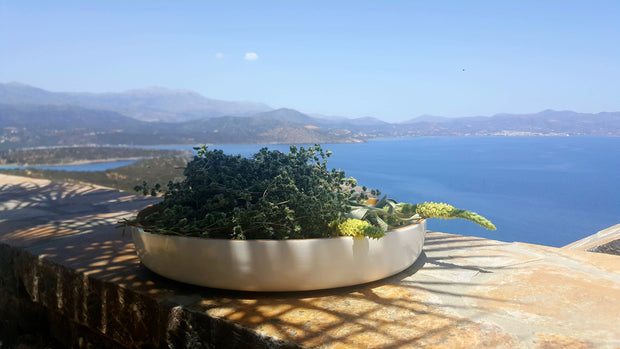 Wild oregano and malotira on a tray in front of Mirabello Bay, Crete