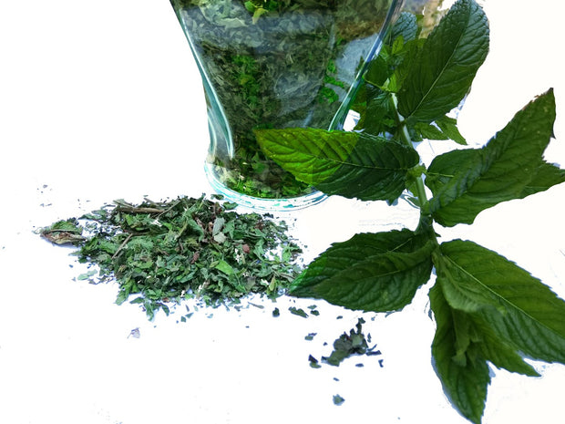 Cretan wild mint