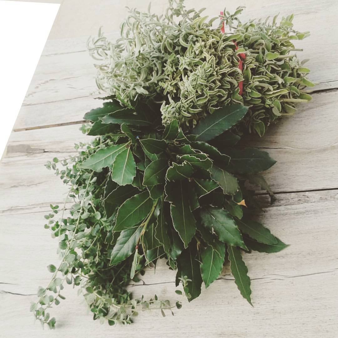 freshly picked Cretan wild sage, bay leaves and oregano
